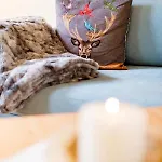 Harz Apartament