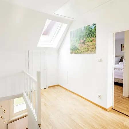 Harz Apartamento